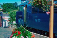 D1013 'Western Ranger'