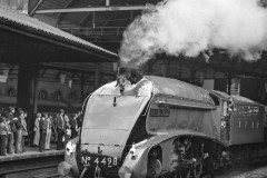 4498 at Newcastle Central