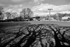 Long shadows