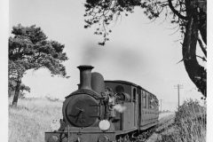 BR ex-LSWR O2 No.28 approaching Ashey, Isle of Wight