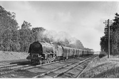 ex-LMS no.46247 ' City of Liverpool' in Floriston Woods