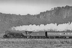 ex-LNER A2 no.60530 passing Kinnoull Hill