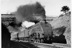 ex-LNER A4 no.60010 leaving Perth