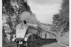ex-LNER A4 no.60034 at Hilton Junction, Perth