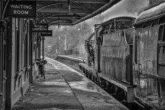 Still Life at Horsted Keynes: SR/BR Q class No.30541