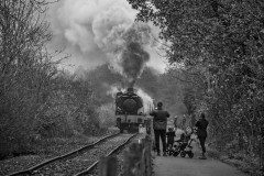 3rd-place-19-25-category-Santa-Special-on-the-Avon-Valley-Railway-Dylan-Robinson-19