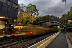 RPS-Special-Award-A-colourful-autumnal-scene-at-South-Gosforth-Gwion-Clark-18